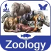 Zoology